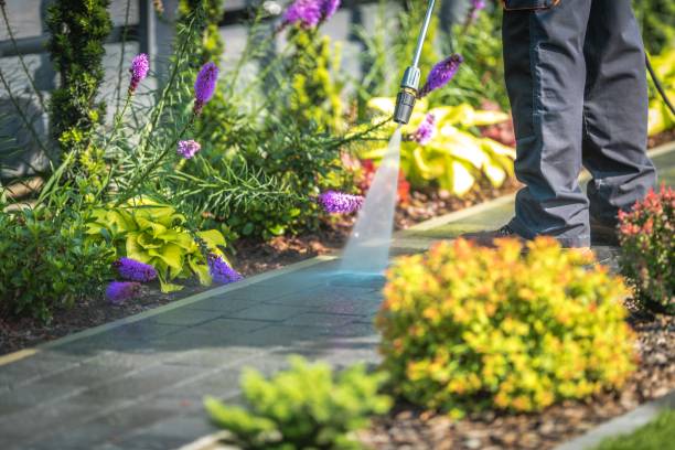 Best Gutter Cleaning  in Cross Roads, TX