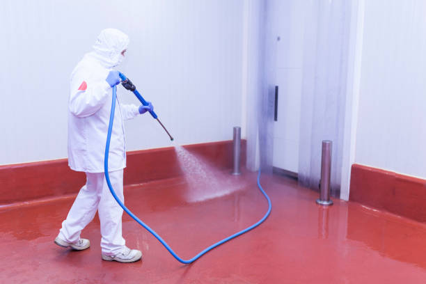 Best Oil Spill Cleanup  in Cross Roads, TX