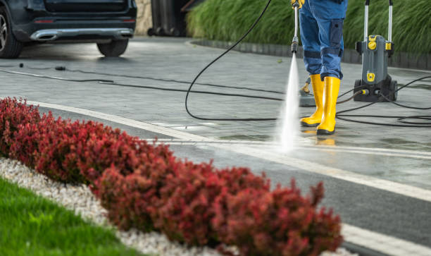 Best Warehouse Cleaning  in Cross Roads, TX
